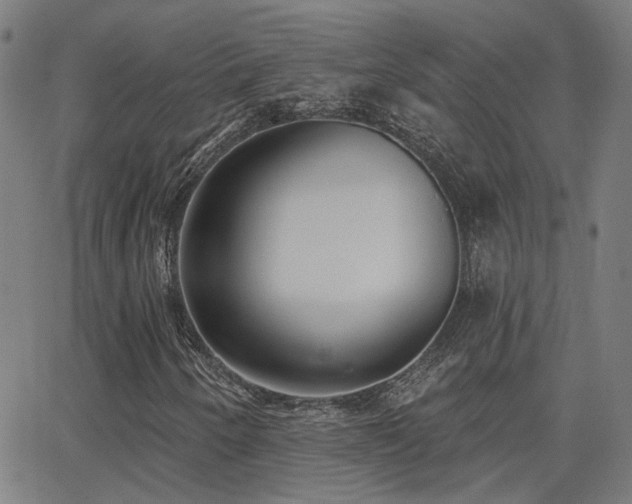 X0000062841250200601131315