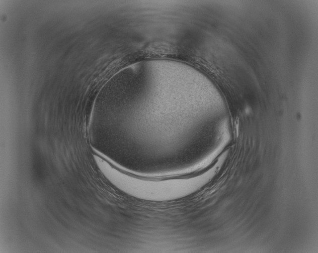 X0000062841251200601131315