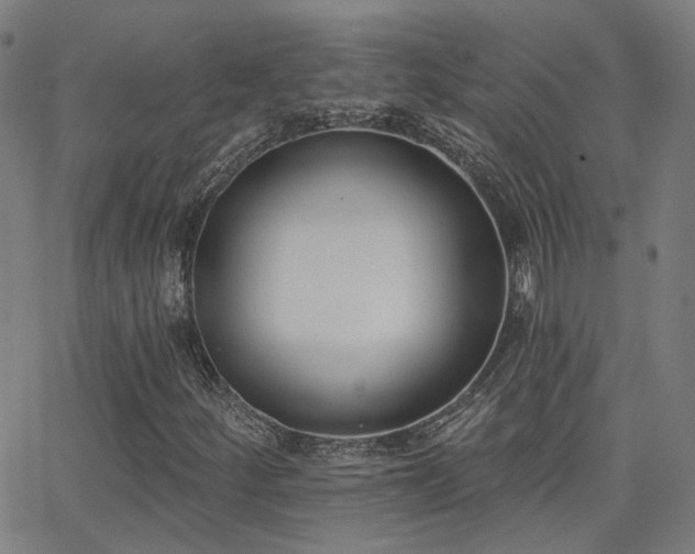 X0000062841252200601131315