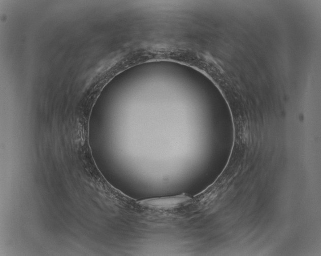 X0000062841253200601131315