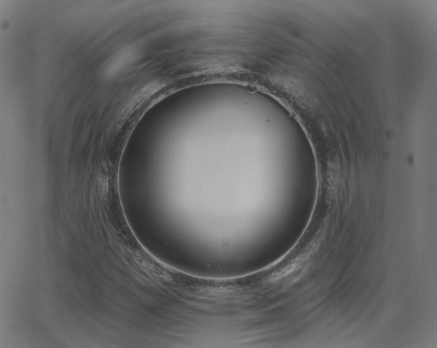 X0000062841257200601131315