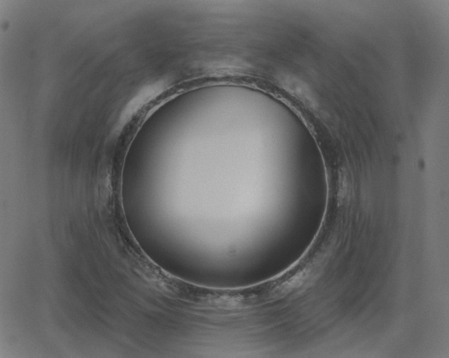 X0000062841261200601131315