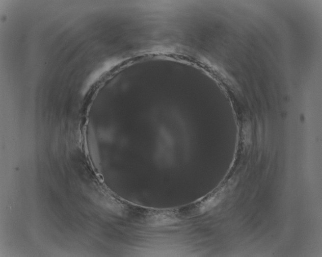 X0000062841262200601131315