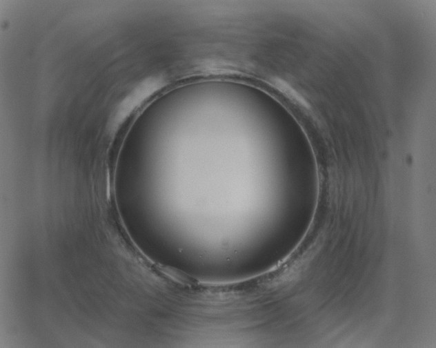 X0000062841269200601131314
