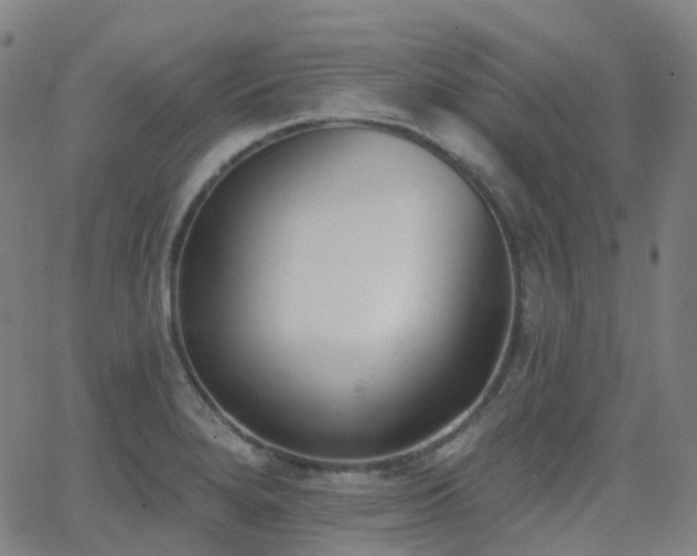 X0000062841280200601131314