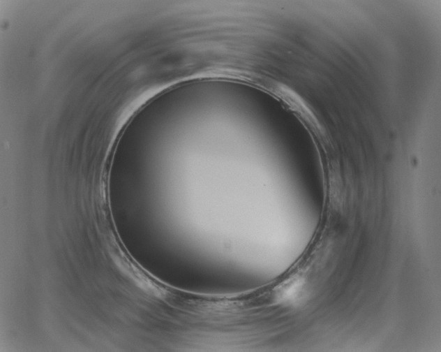 X0000062841292200601131314