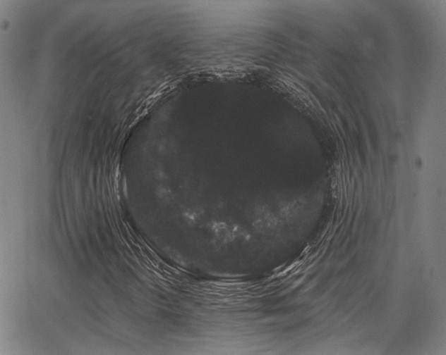 X0000062841298200601131313