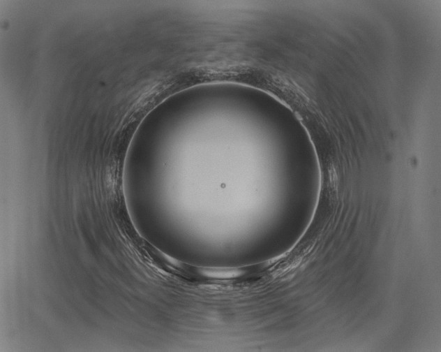 X0000062841300200601131313