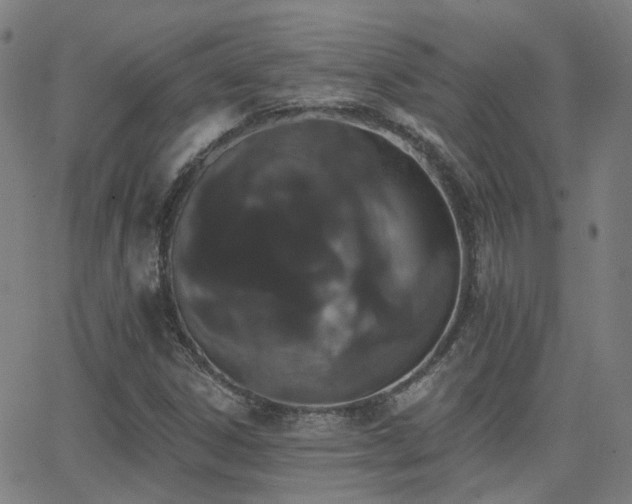 X0000062841306200601131313