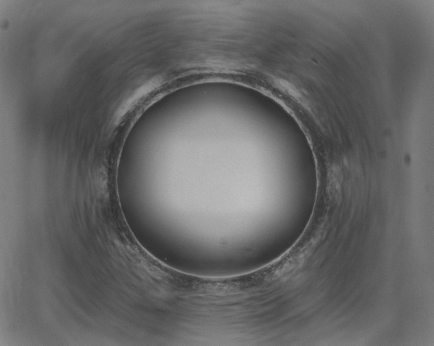 X0000062841307200601131313