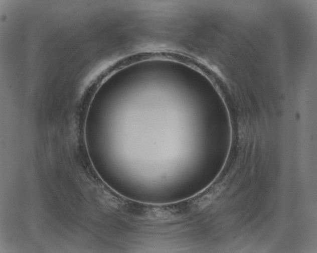 X0000062841311200601131313