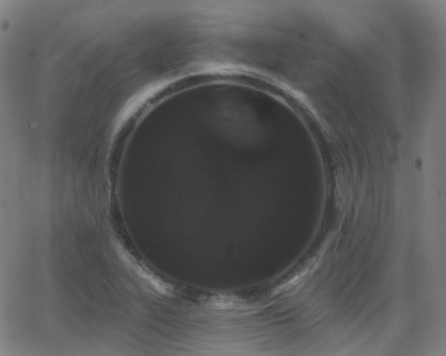X0000062841319200601131314