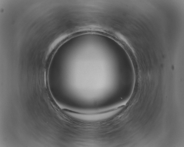 X0000062841320200601131314