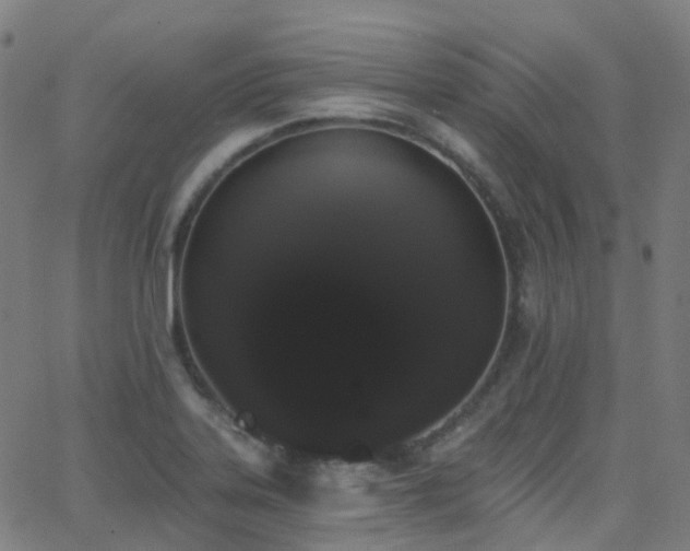 X0000062841323200601131314