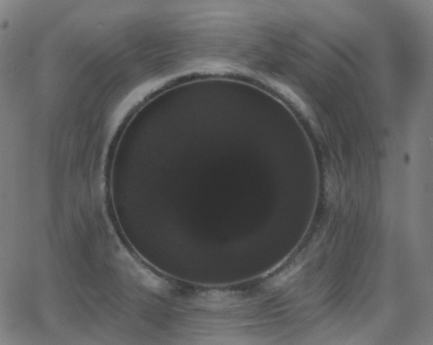 X0000062841327200601131314