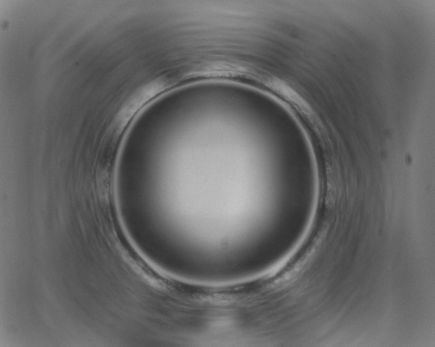 X0000062841329200601131314