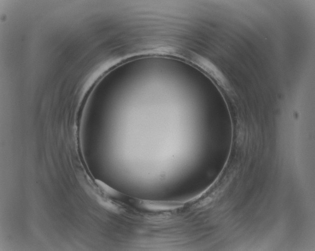 X0000062841332200601131314