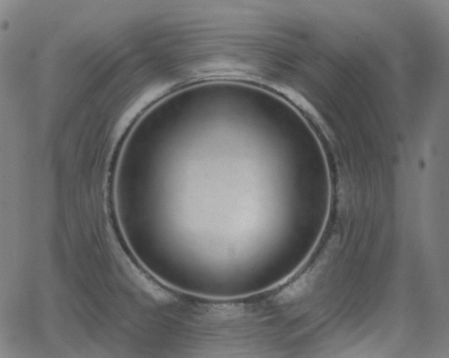 X0000062841333200601131314