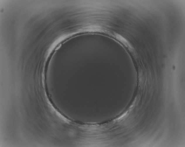 X0000062841334200601131314