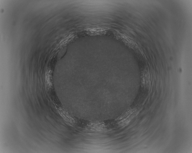 X0000062841346200601131313