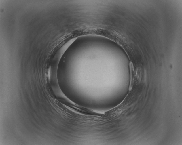 X0000062841348200601131313
