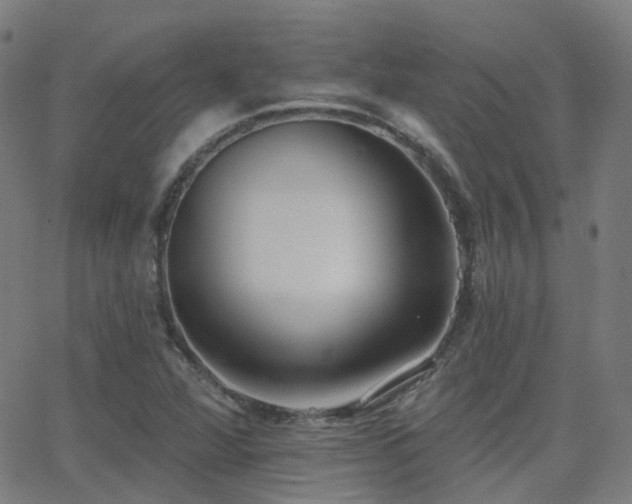 X0000062841360200601131313