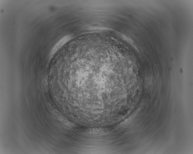 X0000062841362200601131313