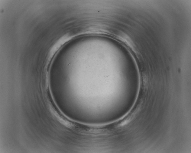 X0000062841371200601131313