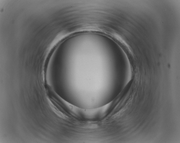 X0000062841372200601131313