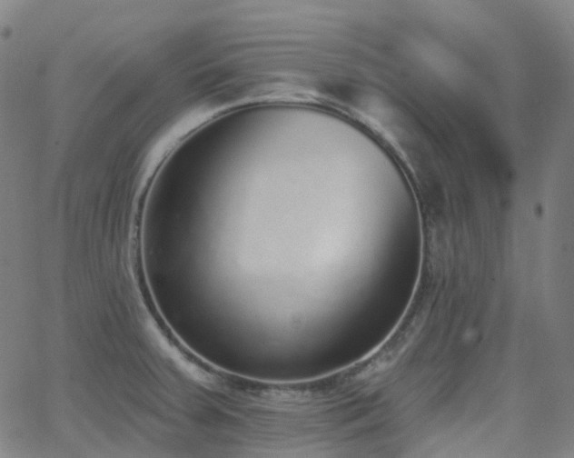 X0000062841379200601131313
