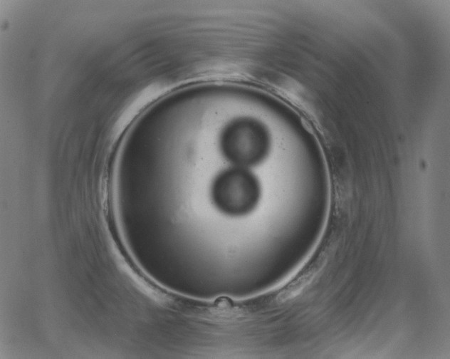 X0000062841383200601131313