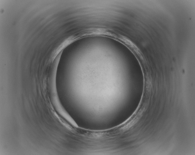 X0000062841385200601131312