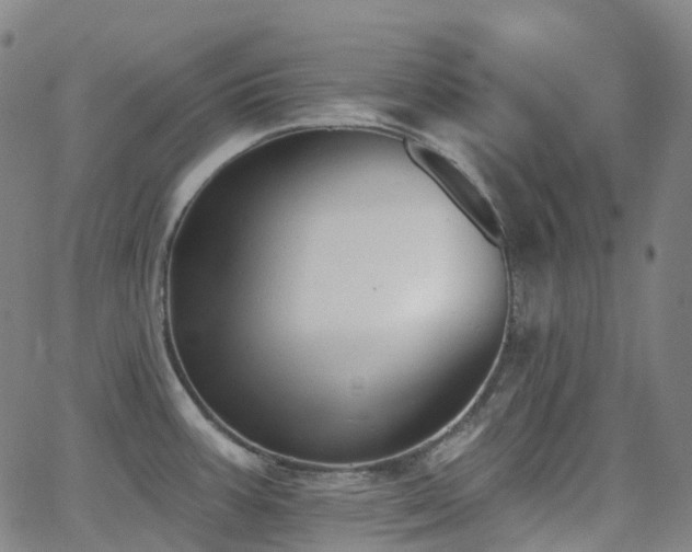 X0000062841387200601131312