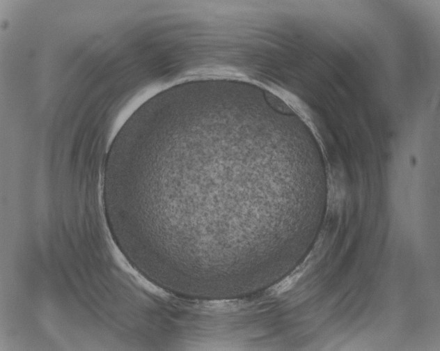 X0000062841390200601131312