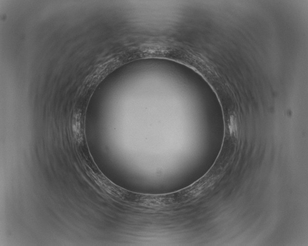 X0000062841396200601131312