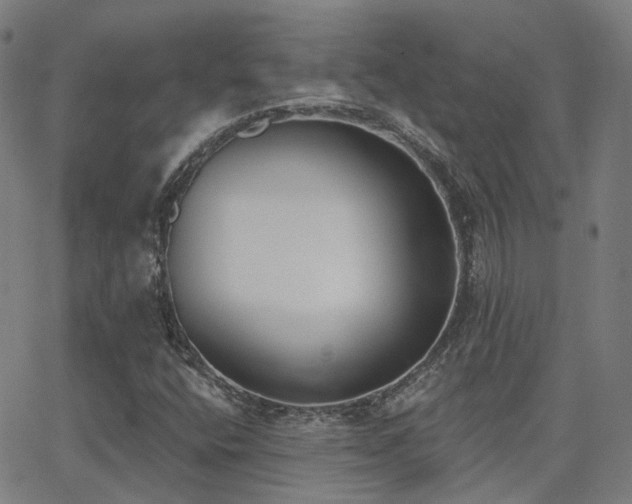 X0000062841400200601131312
