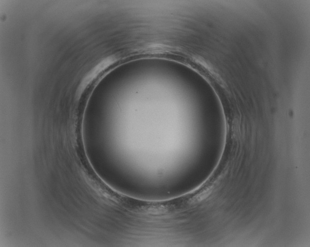 X0000062841410200601131312