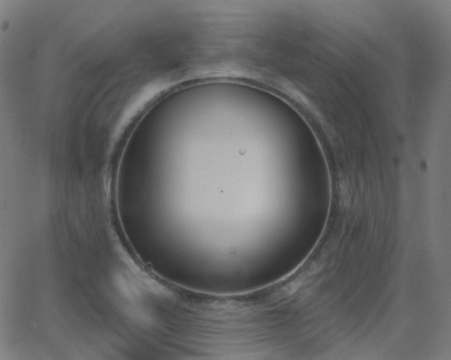 X0000062841416200601131312