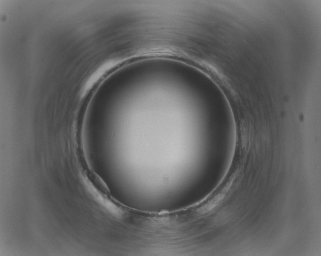 X0000062841422200601131312