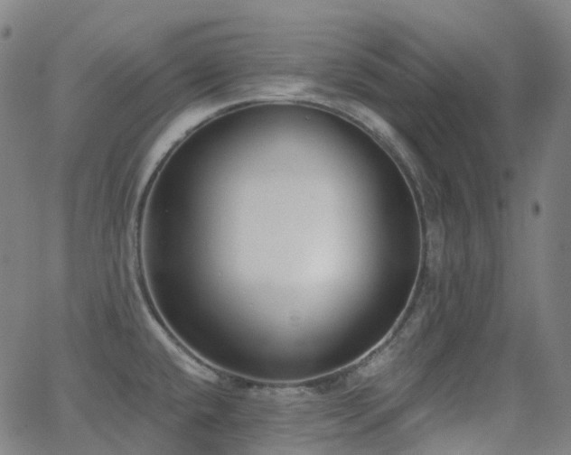 X0000062841432200601131312