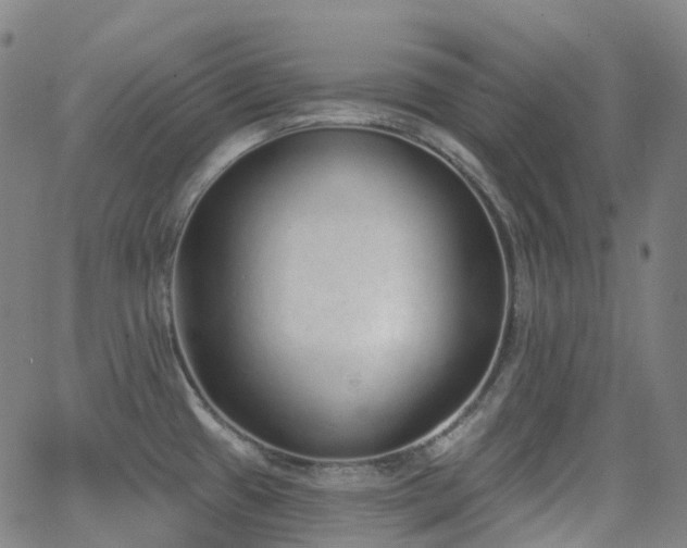X0000062841433200601131312