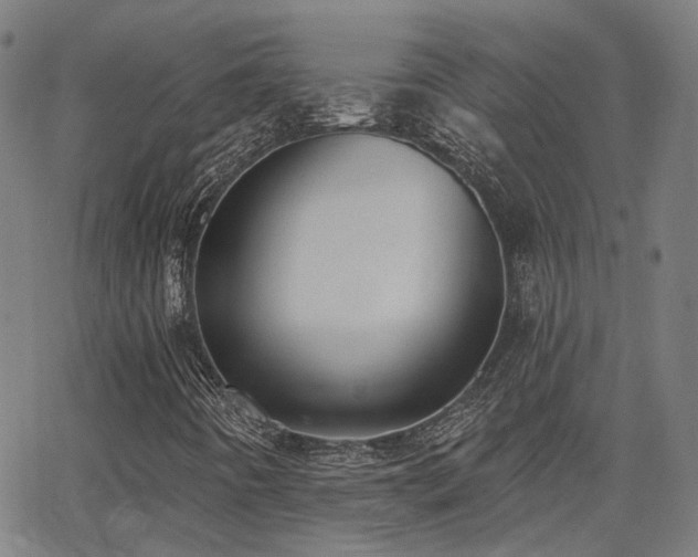 X0000062841442200601131311