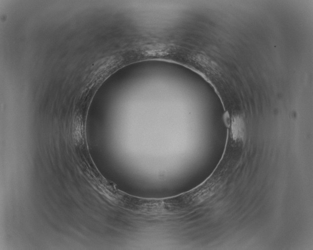 X0000062841444200601131311