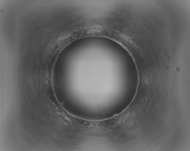 X0000062841445200601131311