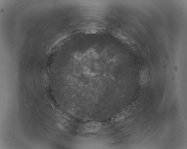 X0000062841446200601131311