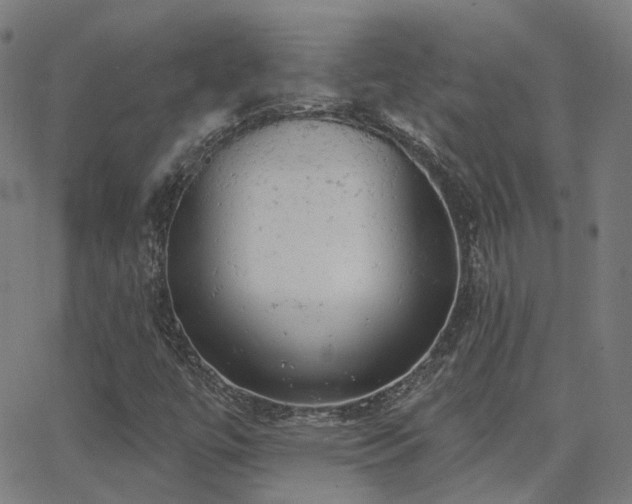 X0000062841447200601131311