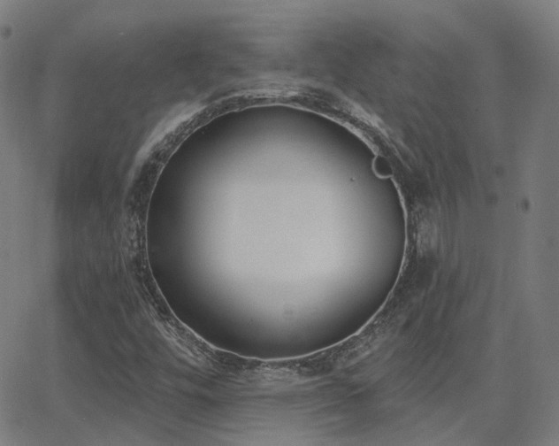X0000062841448200601131311