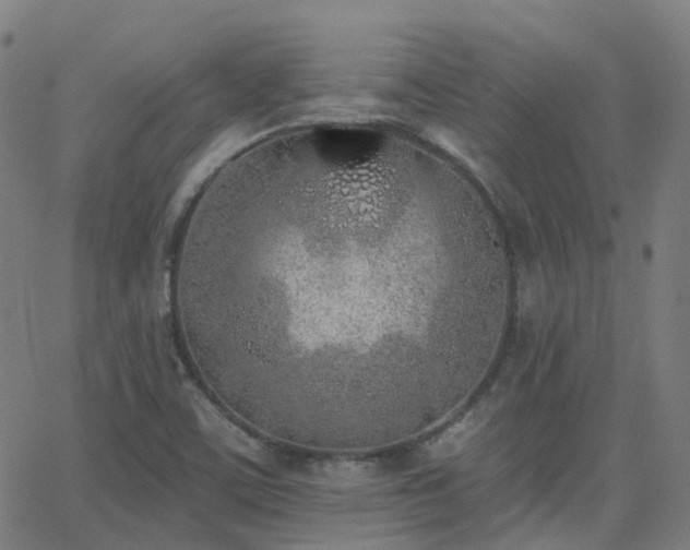 X0000062841459200601131311