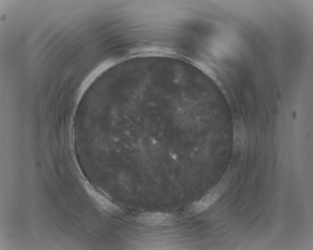 X0000062841474200601131311