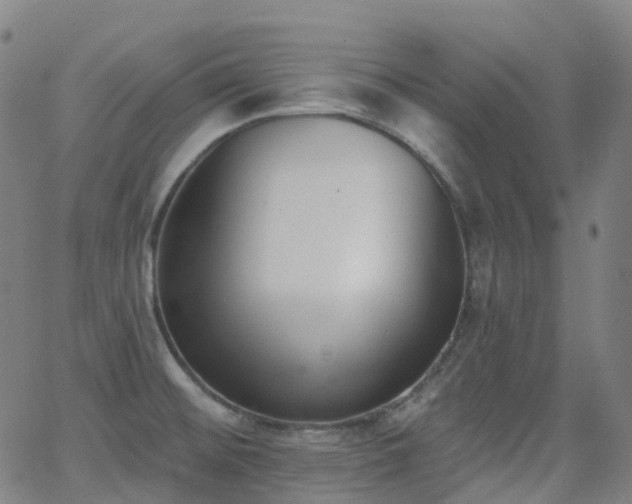 X0000062841476200601131311